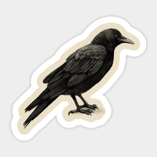 Crow Sticker